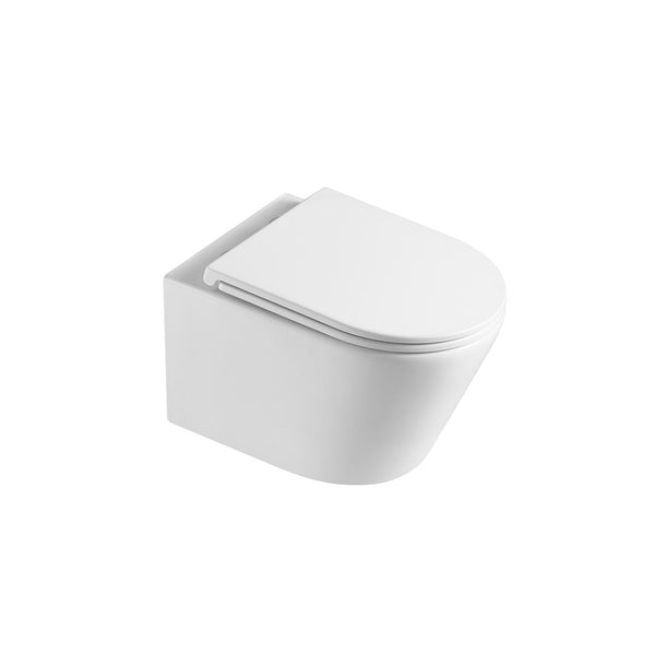 Wall mounted, D-shape, dual-flush toilet, matte white